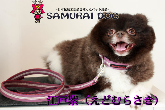 SAMURAI カラー・リード　江戸紫（えどむらさき）　Lサイズ