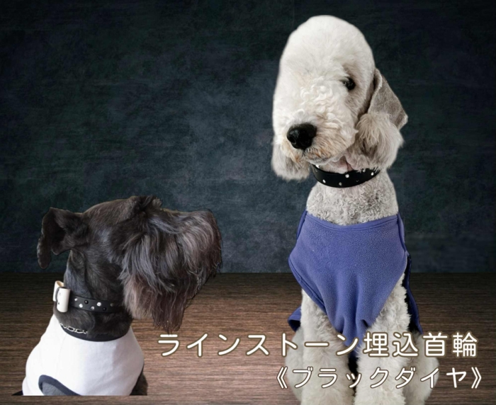 ラインストーン埋込首輪 ブラック《ブラックダイヤ》