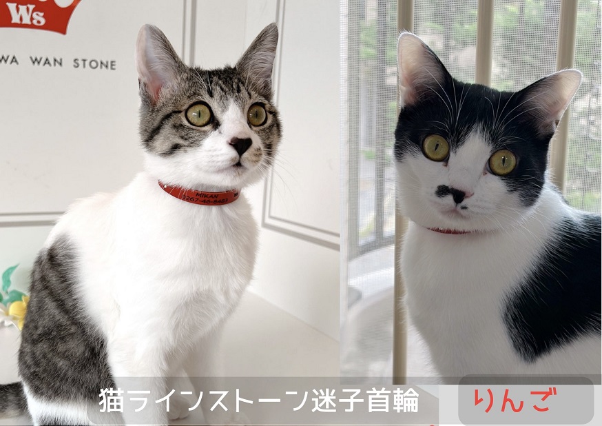 猫ラインストーン迷子首輪　りんご