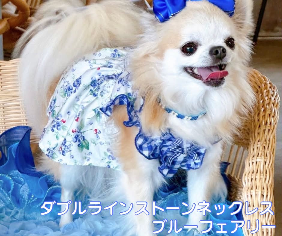 ダブルラインストーンネックレス　ロイヤルブルー ブルーフェアリー