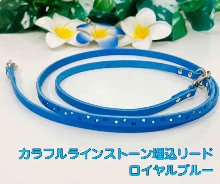 カラフルラインストーン埋込リード ロイヤルブルー