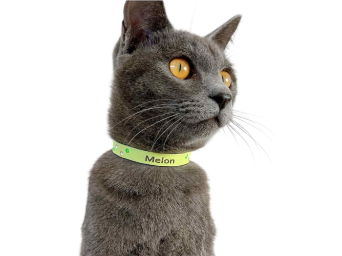 猫ラインストーン迷子首輪≪マスカット≫