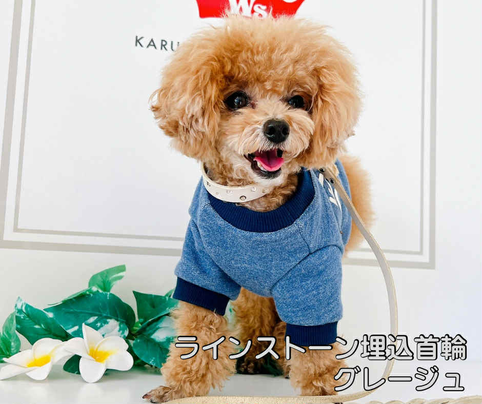 ラインストーン埋込首輪　グレージュ《グレージュ》