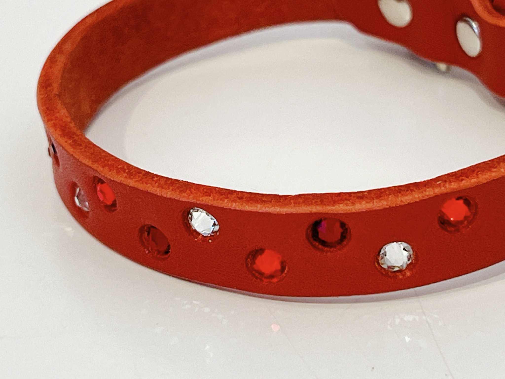 15周年 特典付き15%OFF !!ラインストーン埋込首輪・リード≪レッド≫ 4点SET