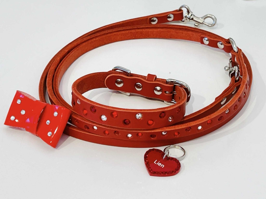 15周年 特典付き15%OFF !!ラインストーン埋込首輪・リード≪レッド≫ 4点SET