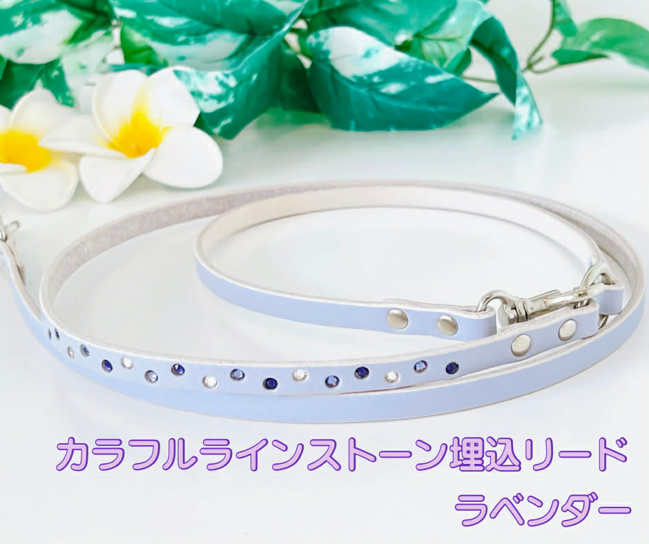 カラフルラインストーン埋込リード ラベンダー