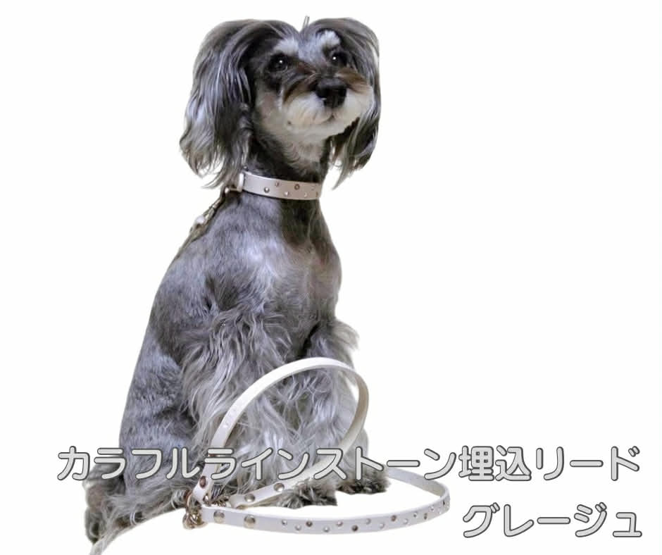 カラフルラインストーン埋込リード グレージュ