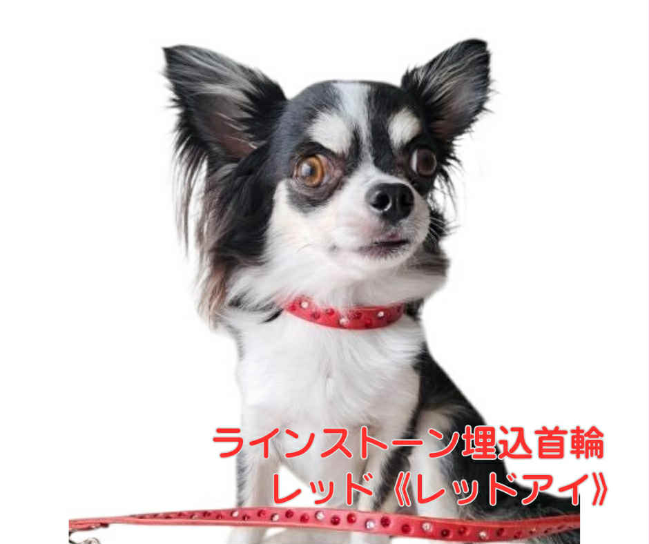 ラインストーン埋込首輪　レッド《レッドアイ》