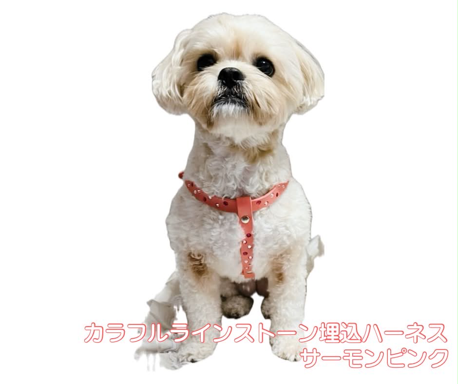 カラフルラインストーン埋込ハーネス サーモンピンク