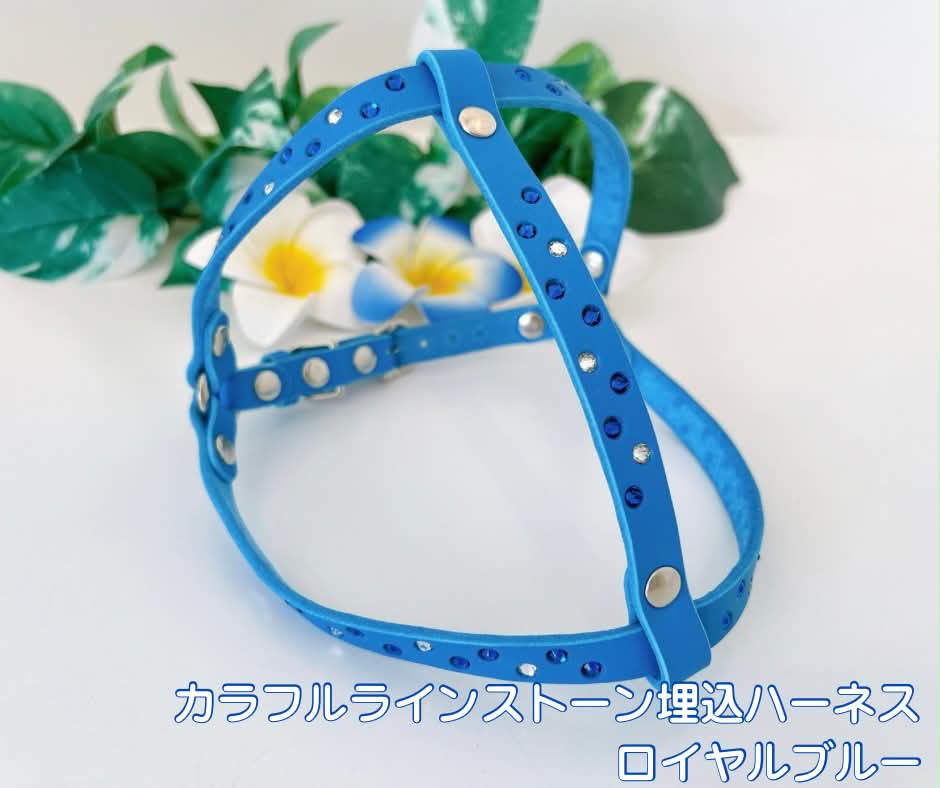 カラフルラインストーン埋込ハーネス ロイヤルブルー