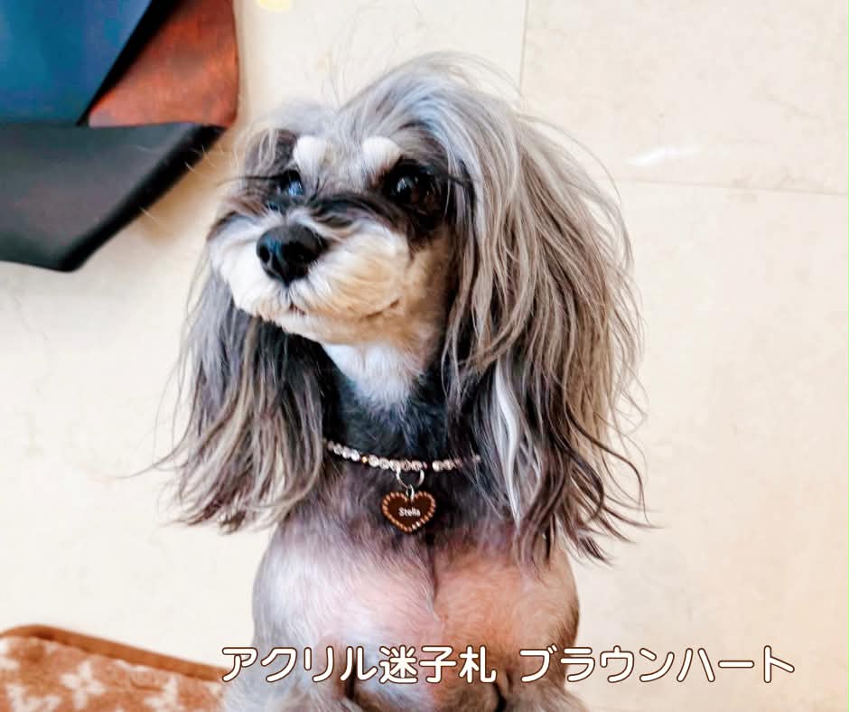 アクリル迷子札　ブラウン　ハート