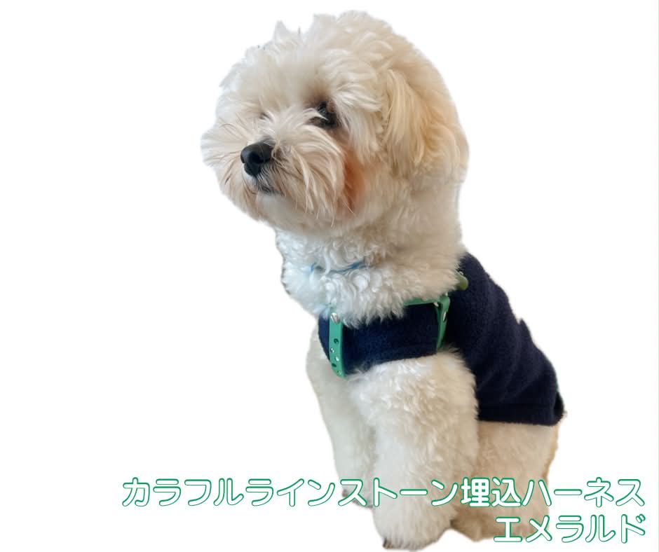 カラフルラインストーン埋込ハーネス　エメラルド