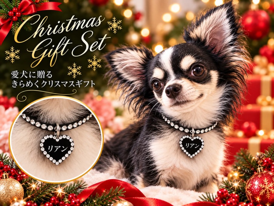 クリスマス限定 ネックレス&迷子札コーディネートセット《ブラック》