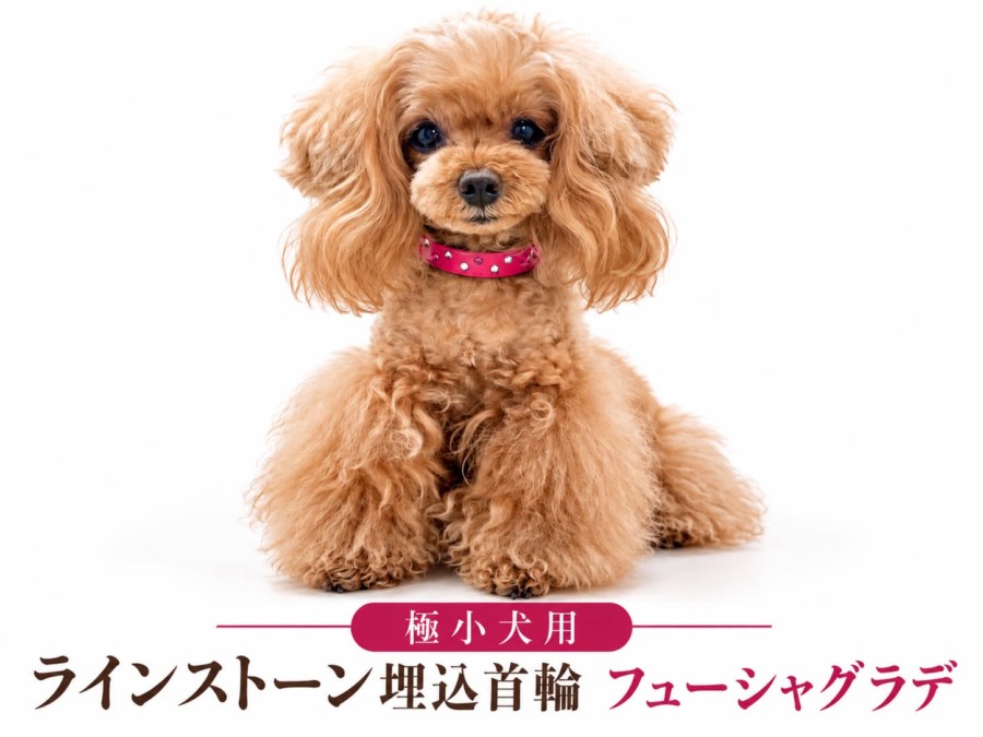 極小犬用　ラインストーン埋込首輪　フューシャグラデ
